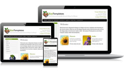 Responsive Design Eco