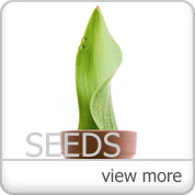 Seeds