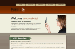 CSS Virtual Mobile #2