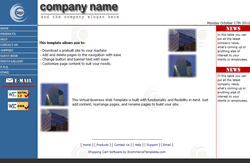 Dreamweaver Virtual Business #2