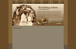 Website template wedding 001