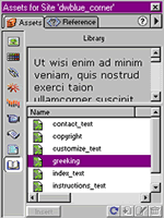 Dreamweaver Asset Window - Library Item